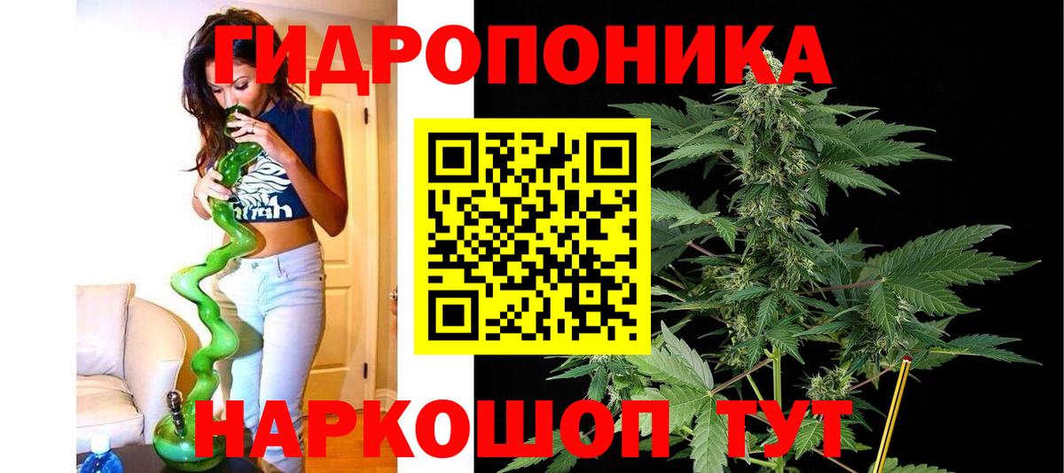 Меф мяу мяу Чайковский
