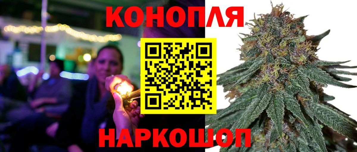 Каннабис конопля Чайковский